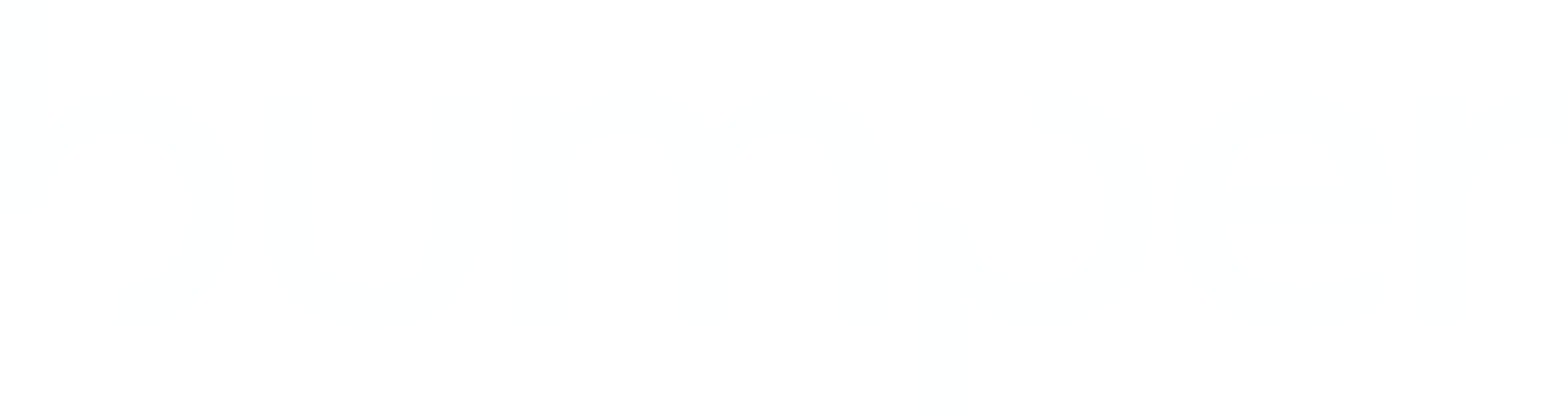 Bumper